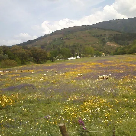 Casa De Xisto Сasa de vacaciones Arganil